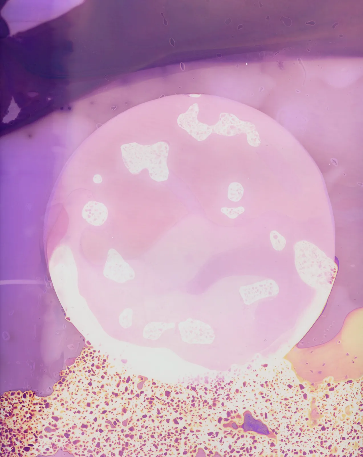 DanielaDroz--LUMEN-009-DD-NEG--2023