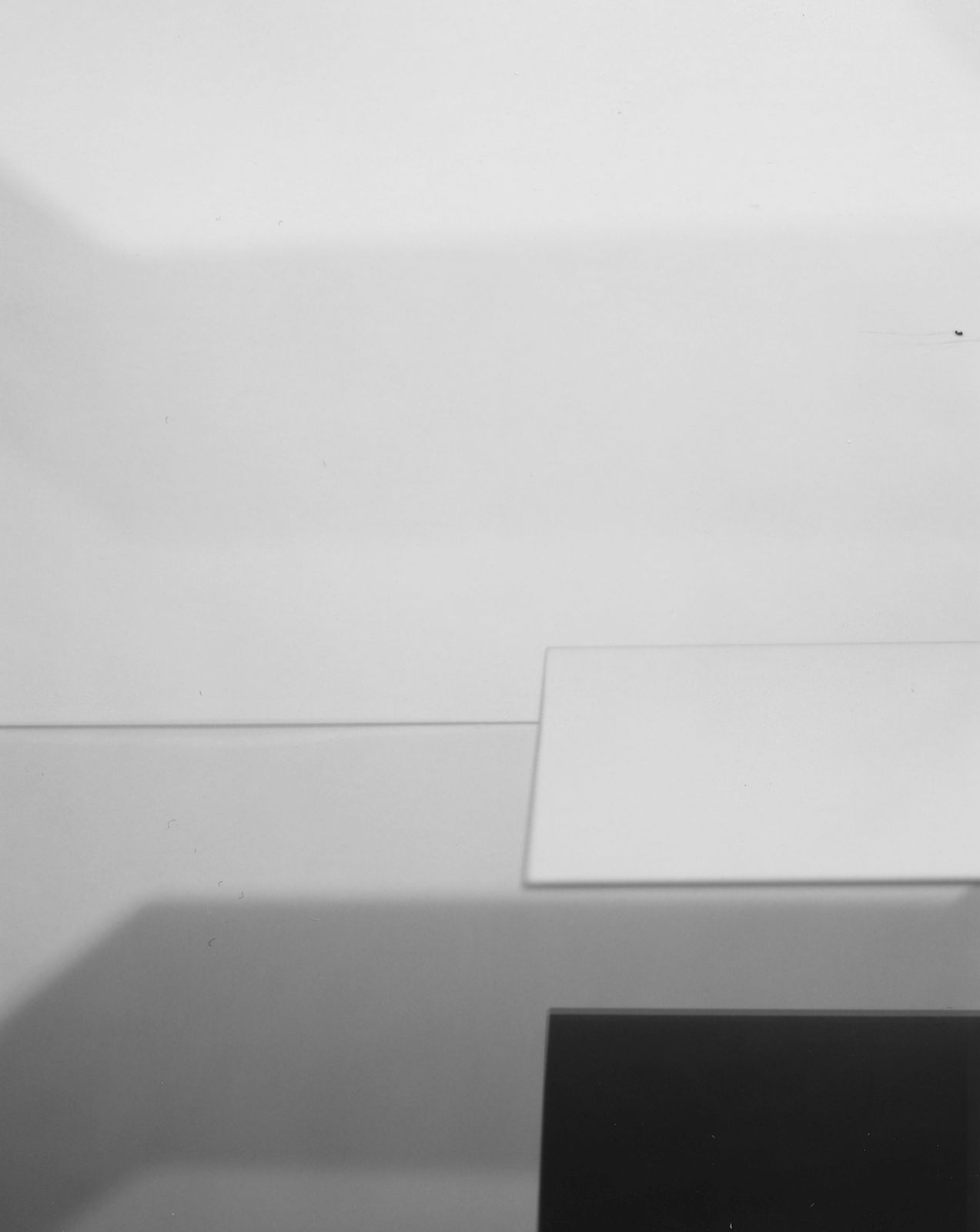 DanielaDroz--MOUVEMENT-0019--2018