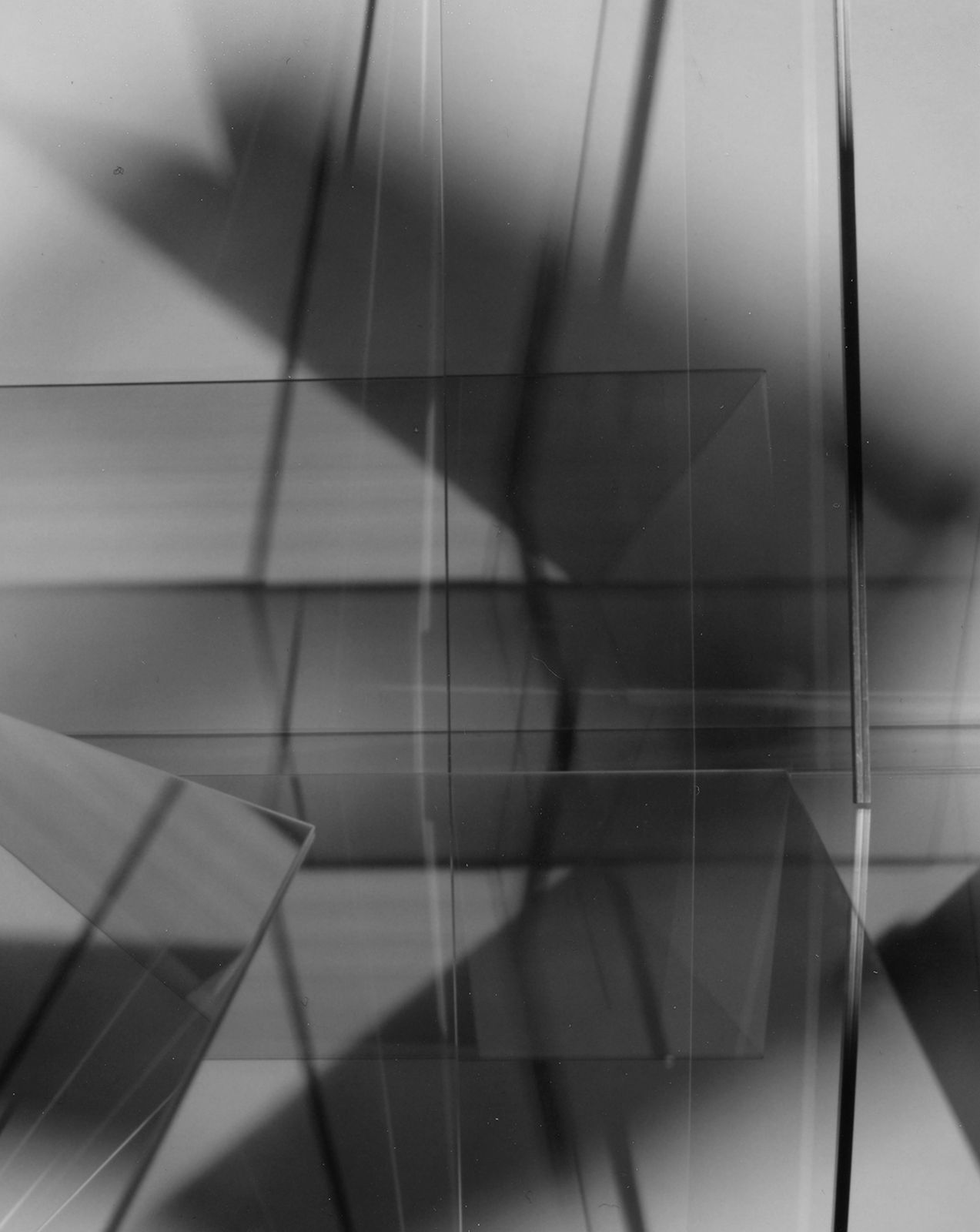 DanielaDroz--MOUVEMENT-0009--2018