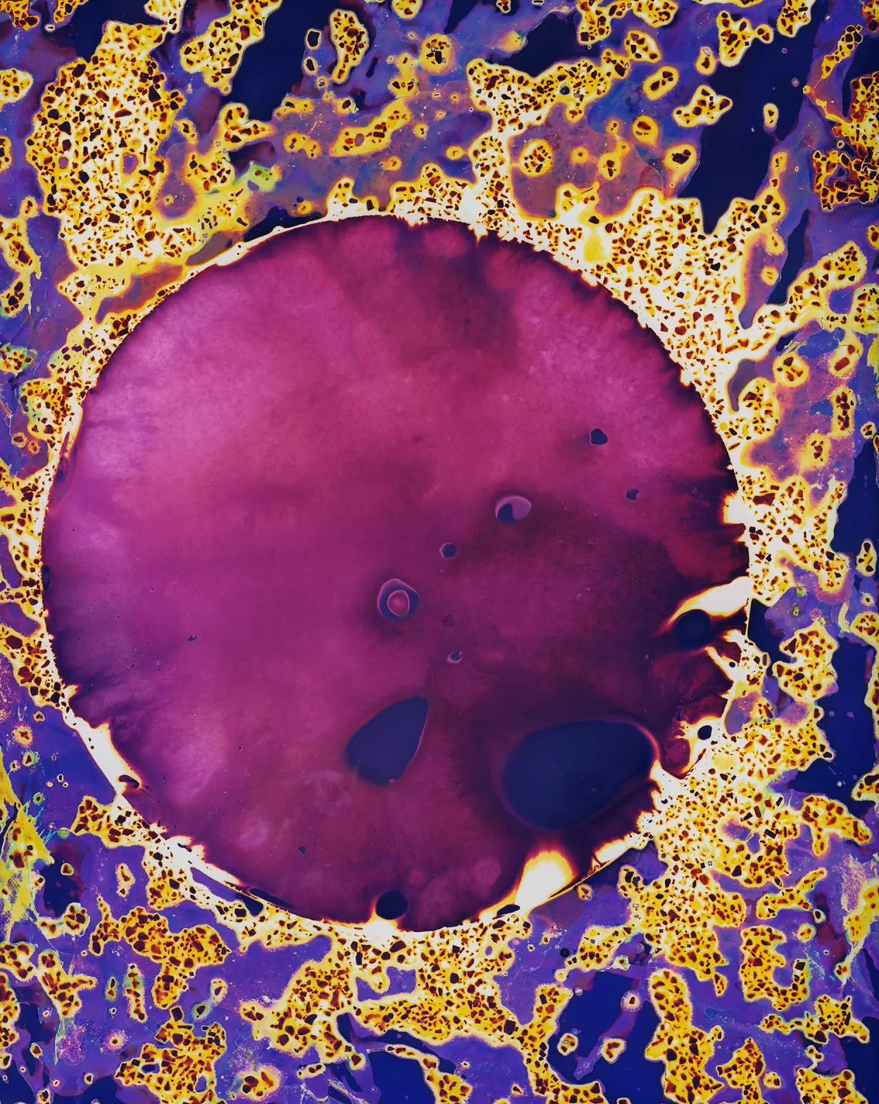 DanielaDroz--LUMEN-011-DD-NEG--2023