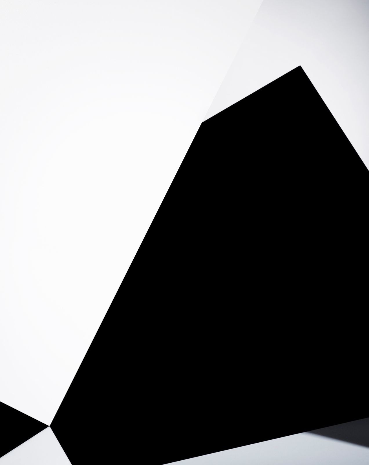 DanielaDroz--BACKGROUNDS-001--2010