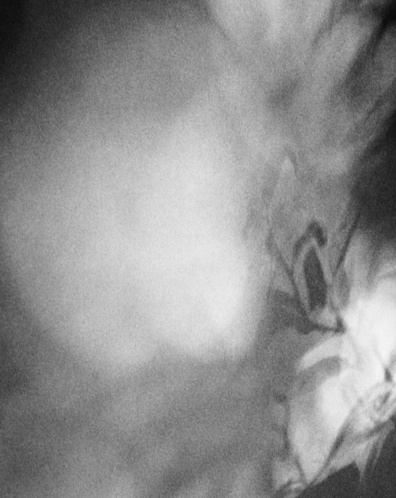 DanielaDroz--ALIZE-01--2018