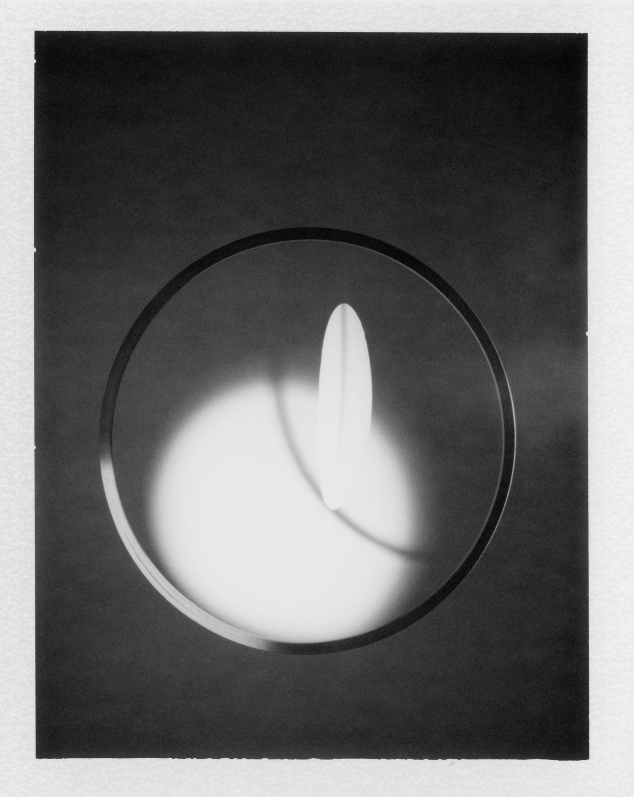 DanielaDroz--ALINEA-BW-POLA-004--2017