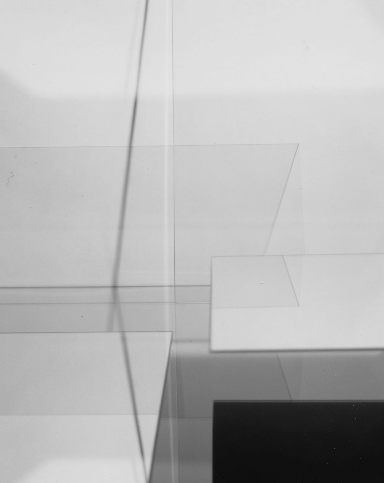 DanielaDroz--MOUVEMENT-0017--2018