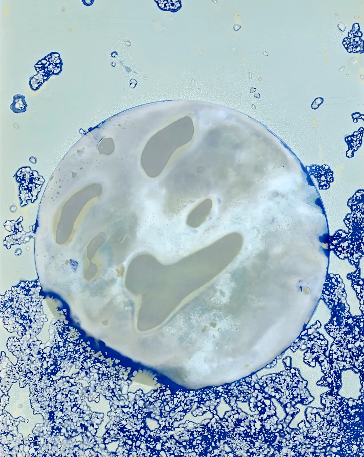 DanielaDroz--LUMEN-008-DD-NEG--2023