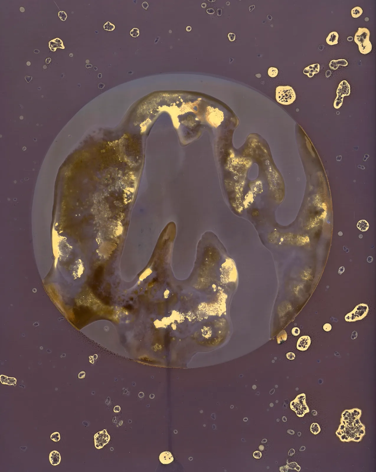 DanielaDroz--LUMEN-007-DD-NEG--2023