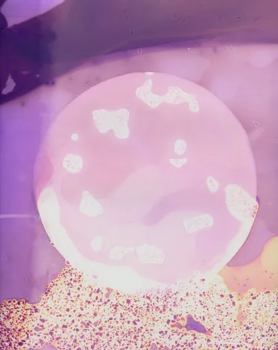 DanielaDroz--LUMEN-009-DD-NEG--2023