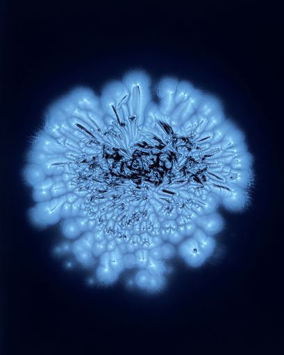 DANIELADROZ--Soffio-15--2026