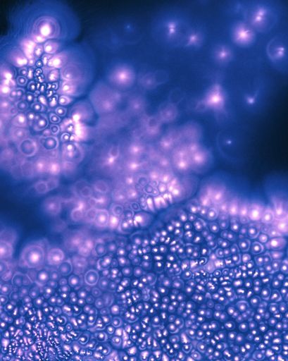 DANIELADROZ--Soffio-10--2026